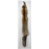 Image 1 : Beautiful Ranch Red Fox Fur Pelt Taxidermy