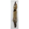 Image 2 : Beautiful Ranch Red Fox Fur Pelt Taxidermy