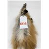 Image 3 : Beautiful Ranch Red Fox Fur Pelt Taxidermy