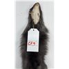Image 3 : Beautiful Ranch Silver Fox Fur Pelt Taxidermy