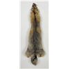 Image 1 : Beautiful Kit Fox Fur Pelt Taxidermy
