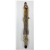 Image 1 : Beautiful Kit Fox Fur Pelt Taxidermy