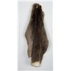 Montana Beaver Fur Pelt Taxidermy