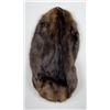 Montana Beaver Fur Pelt Taxidermy