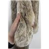 Image 4 : Beautiful Alaskan Lynx Fur Pelt Taxidermy