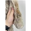 Image 2 : Beautiful Alaskan Lynx Fur Pelt Taxidermy