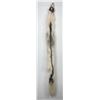 Image 1 : Beautiful Ranch Marbled Fox Fur Pelt Taxidermy