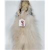 Image 3 : Beautiful Ranch Marbled Fox Fur Pelt Taxidermy
