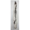 Image 1 : Beautiful Ranch Marbled Fox Fur Pelt Taxidermy