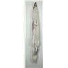 Image 2 : Beautiful Ranch Marbled Fox Fur Pelt Taxidermy