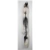 Image 1 : Beautiful Ranch Marbled Fox Fur Pelt Taxidermy