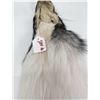 Image 3 : Beautiful Ranch Marbled Fox Fur Pelt Taxidermy