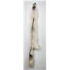 Image 1 : Beautiful Ranch Marbled Fox Fur Pelt Taxidermy