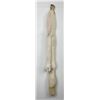 Image 2 : Beautiful Ranch Marbled Fox Fur Pelt Taxidermy
