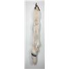 Image 2 : Beautiful Ranch Marbled Fox Fur Pelt Taxidermy