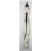 Image 1 : Beautiful Ranch Marbled Fox Fur Pelt Taxidermy