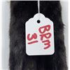 Image 3 : Beautiful Ranch Black Mink Fur Pelt Taxidermy