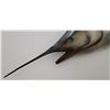 Image 5 : Taxidermy Blue Marlin Fish Mount