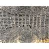 Image 8 : Gigantic Taxidermy Trophy Alligator Rug