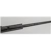Image 6 : H&R Harrington Richardson Survival M4 Rifle