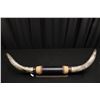 Image 2 : 50" Longhorn Mount