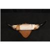 Image 2 : 14.5" Steer Horn On Hide Plate