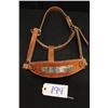 Image 1 : Championship Halter