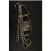 Image 5 : US Calvary Bridle