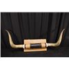 Image 2 : 43.5" Longhorn Mount