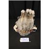 Image 1 : Native American Feathered Headress