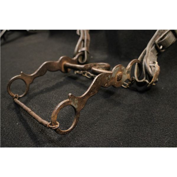 Steel Bit w/Lady Leg Cheeks