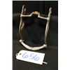 Image 2 : Les Vogt Pro Equine #00277-1 Silver Overlay Bit