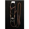Image 1 : Vogt "Star" Silver Mounted Bit w/Headstall & Reins