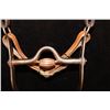 Image 7 : Unmarked Silver Mounted Bit w/Silver Mounted Headstall