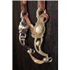 Image 7 : Unmarked Silver Mounted Bit & Headstall