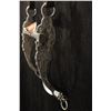 Image 8 : Sliester Stainless Bit w/Headstall; Salinas mouth, no reins