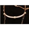 Image 12 : D. Trefz Santa Barbara Silver Inlay & Overlay Bit w/Leather Headstall & Braided Rawhide Reins and Ro