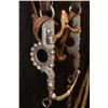 Image 6 : D. Trefz Santa Barbara Silver Inlay & Overlay Bit w/Leather Headstall & Braided Rawhide Reins and Ro