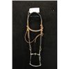 Image 1 : Al Tietjen Stainless Bit w/Headstall