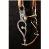 Image 3 : Al Tietjen Stainless Bit w/Headstall