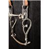 Image 4 : Al Tietjen Stainless Bit w/Headstall