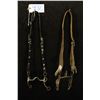 Image 1 : Two Unmarked Bits w/Headstalls