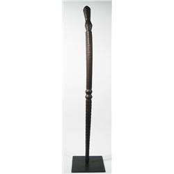 A SOLOMON ISLAND WALKING STICK