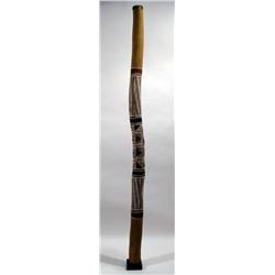 A YOLNGU SOUND TUBE (didgeridoo)