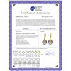 Image 2 : Genuine 10.63 ctw Amethyst & Diamond Earrings 14KT Yellow Gold - REF-44V7W