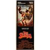 Image 1 : Red Sonja 1985 original vintage insert card