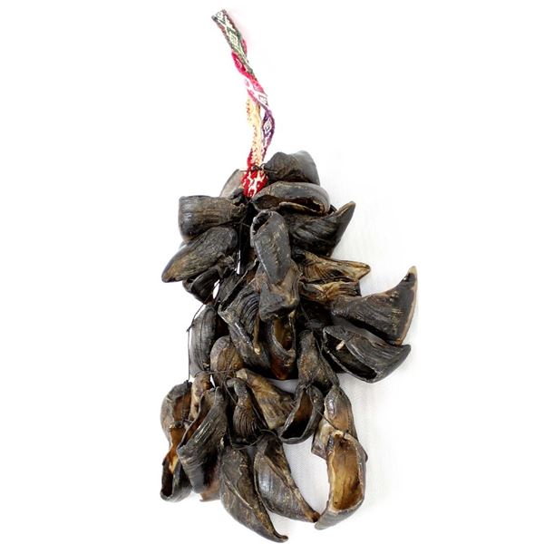 Yaqui Indian Deer Hooves Rattle