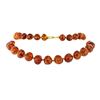 Image 1 : Twenty Nine Inch Baltic Honey Colored Amber Necklace