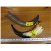 Image 1 : 2 HORNS