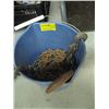Image 1 : BUCKET WITH ASST. CHAIN